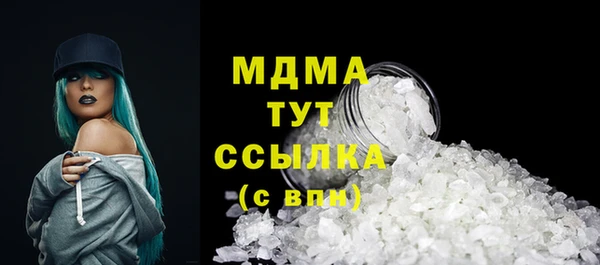 индика Алексин