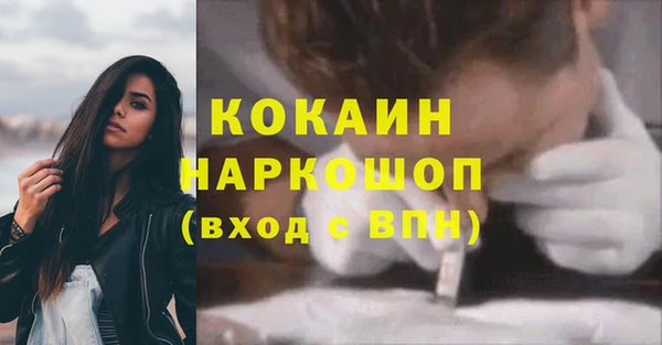 индика Алексин