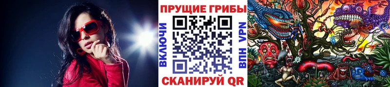 даркнет какой сайт  Кимовск  Галлюциногенные грибы ЛСД 